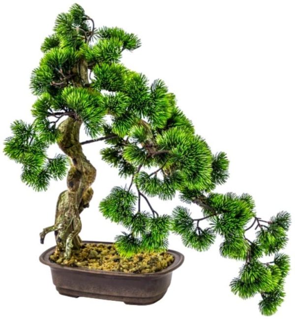 Ornamental Large Bonsai Tree in Iron Style Pot